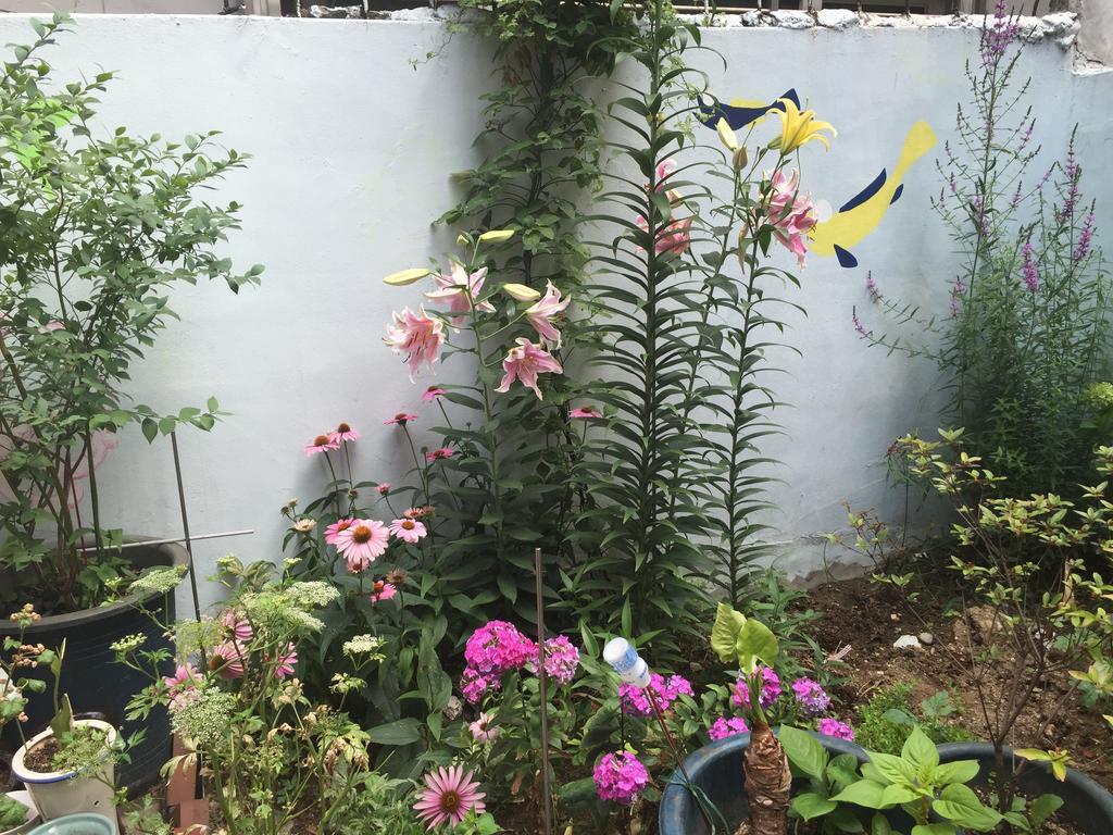 סיאול Duri Guest House מראה חיצוני תמונה